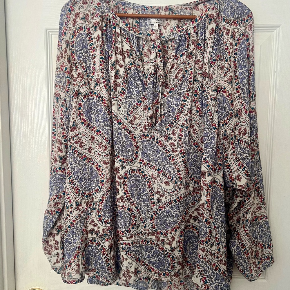 Cotton On Blue and Red Paisley Blouse